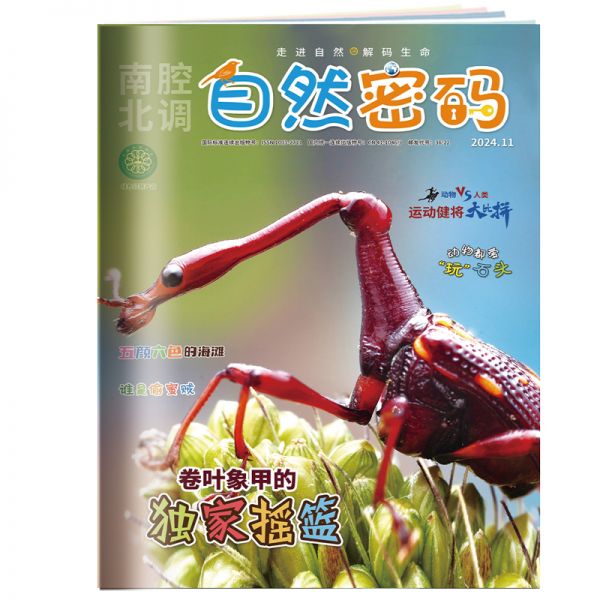 《自然密码》  2025年7-12月刊物 （6期）