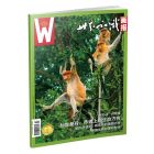 《世界知识画报》  2027年1-6月刊物 （6期）
